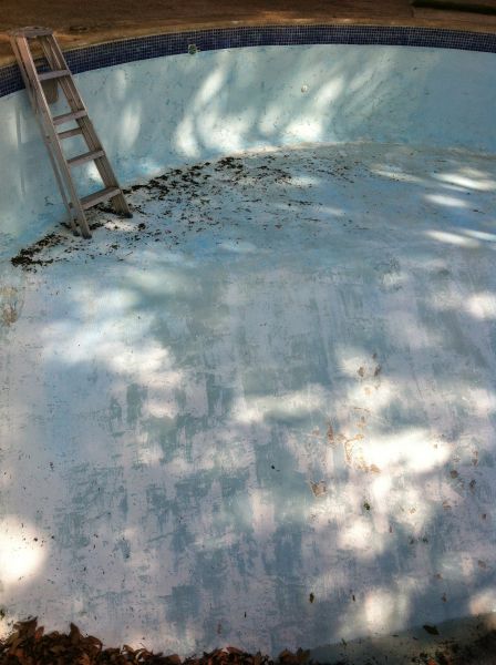Pool Removal Service